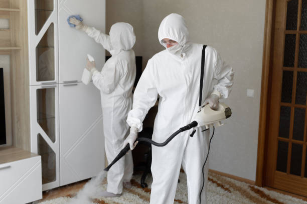 Best Mold Damage Restoration  in Pacific, MO